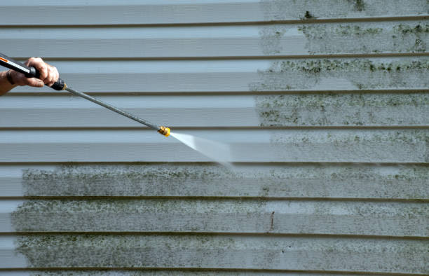 Best Gutter Cleaning  in Pinconning, MI